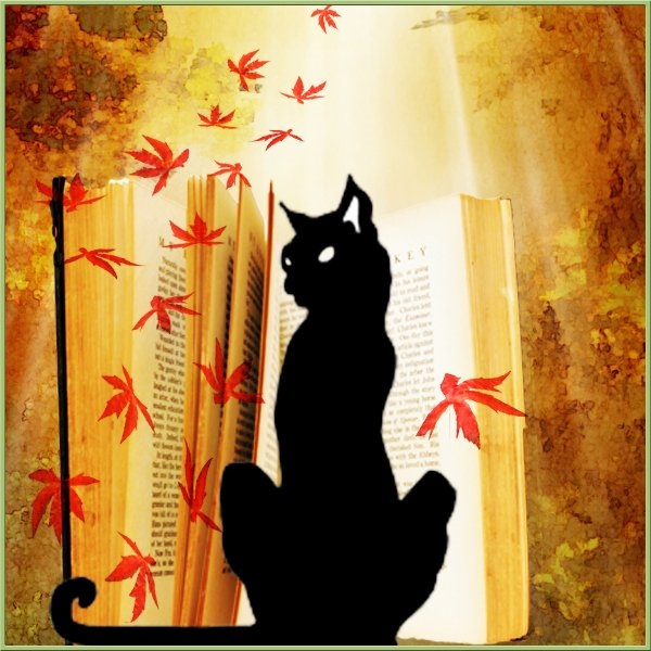 avatar Cocounette