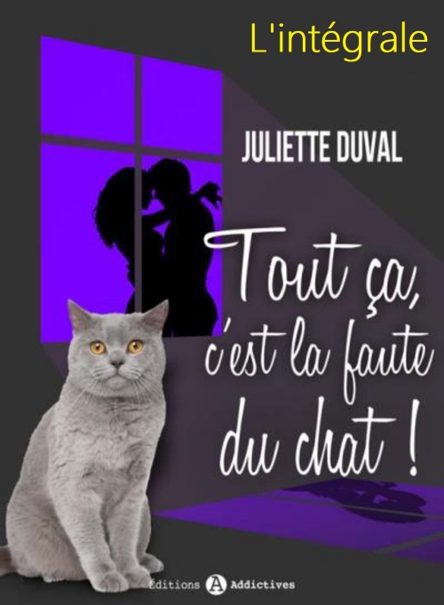 Tout ça c'est la faute du chat (Ma rockstar, son chat et moi) - L'intégrale & Bonus - Juliette Duval