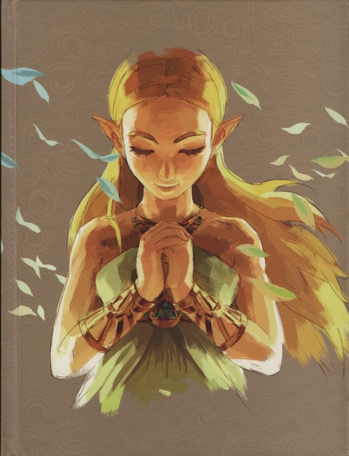 The Legend Of Zelda Breath Of The Wild Le Guide Officiel Complet