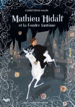 Couverture Mathieu Hidalf, tome 2 : Mathieu Hidalf et la foudre fantôme