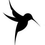 avatar ShadO Bird