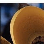 avatar La rêveuse ~