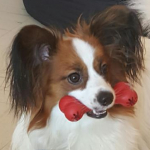 avatar lulu80580