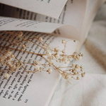 avatar Une fille et des livres