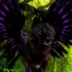avatar Flocon de Lune