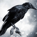avatar Raven13