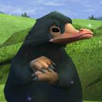 avatar Pigeon Lecteur