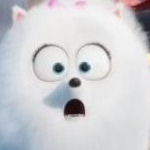 avatar GabrielaFFtVZrd6g