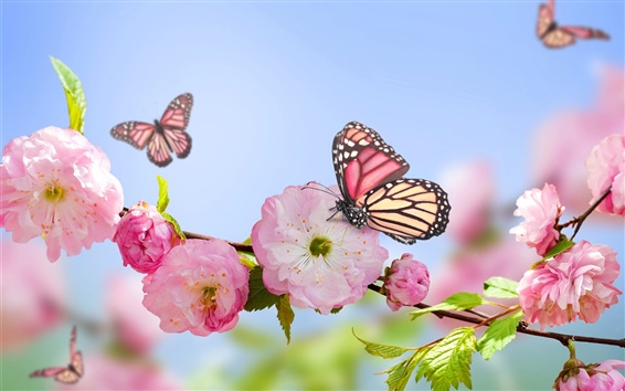 avatar Bonheur_en_mots