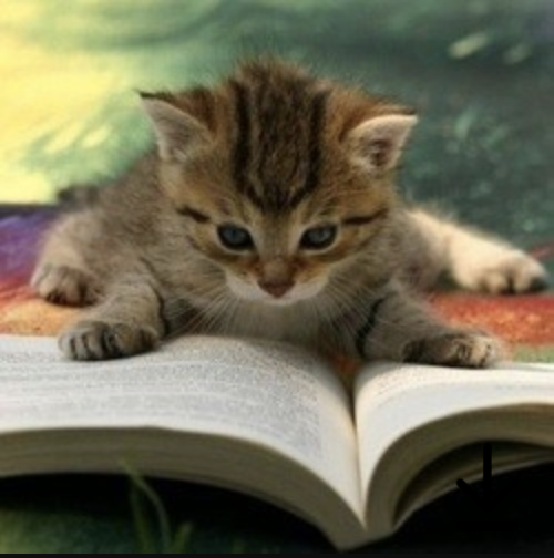 avatar PassionneLecture