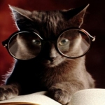 avatar FamousSaladCoffee