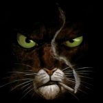 avatar Margote