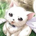 avatar Le chat qui lit