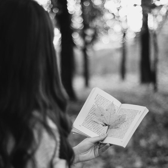 avatar Pages d’automne