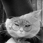 avatar Des Livres Et Moi