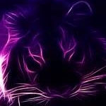 avatar Nidoranium