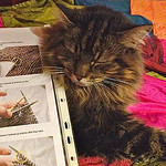 avatar CouchKnitting