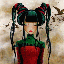 avatar graviiina