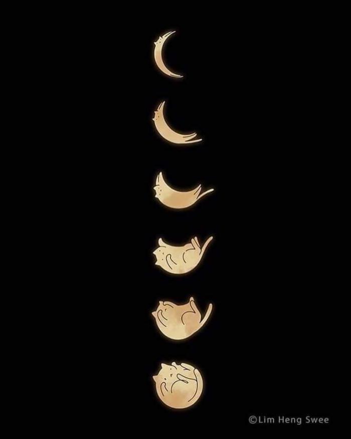 avatar Lumignon