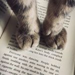 avatar thecatisnotreading