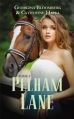 Couverture Pelham Lane, tome 2 : Kate Editions Hachette (Jeunesse) 2013