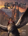 Couverture Harry Potter, un livre pop-up Editions Fetjaine 2011