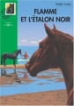 Couverture L'étalon noir, tome 14 : Flamme et l'étalon Noir Editions Hachette (Bibliothèque Verte) 1999