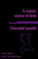 Couverture A voyeur, voyeur et demi Editions L'ivre-book 2013