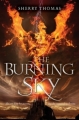 Couverture The Elemental Trilogy, book 1: The Burning sky Editions Balzer + Bray 2013