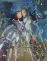 Couverture Le bal des douze princesses Editions Gautier-Languereau (Albums) 2011