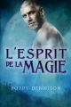 Couverture Les Triades, tome 1 : L'Esprit de la magie Editions Dreamspinner Press 2014
