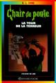Couverture La tour de la terreur / Les pierres magiques Editions Bayard (Poche - Passion de lire) 1998