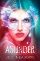 Couverture Newsoul, book 2: Asunder Editions Katherine Tegen Books 2013