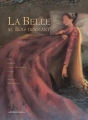 Couverture La Belle au Bois dormant (Delacroix) Editions Casterman 2002