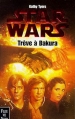 Couverture Star Wars : Trêve à Bakura Editions Fleuve (Noir - Science-fiction) 1999