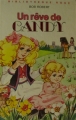Couverture Un rêve de Candy Editions Hachette (Bibliothèque Rose) 1985