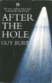 Couverture After the Hole Editions Random House 2002