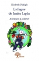 Couverture La fugue de Junior Lapin Editions Autoédité 2014