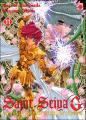 Couverture Saint Seiya, Episode G, tome 11 Editions Panini 2007