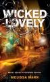 Couverture Wicked Lovely, tome 1 : Ne jamais tomber amoureuse Editions HarperCollins (Children's books) 2007