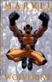 Couverture Les Incontournables Marvel : Wolverine Editions Panini 2008