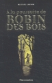 Couverture À la poursuite de Robin des Bois Editions Flammarion 2003