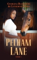 Couverture Pelham Lane, tome 3 : Tommi Editions Hachette (Bloom) 2014