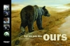 Couverture Sur les pas des ours Editions L'àpart 2011