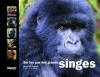 Couverture Sur les pas des grands singes Editions L'àpart 2012