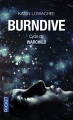 Couverture Burndive Editions Pocket 2013