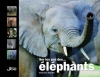 Couverture Sur les pas des éléphants Editions L'àpart 2014