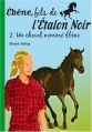 Couverture Ebène, fils de l'Etalon Noir, tome 2 : Un cheval nommé Ebène Editions Hachette (Bibliothèque Verte) 2006