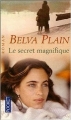 Couverture Le secret magnifique Editions Pocket 2001