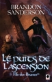 Couverture Fils-des-brumes, cycle 1, tome 2 : Le puits de l'ascension Editions Calmann-Lévy (Orbit) 2010